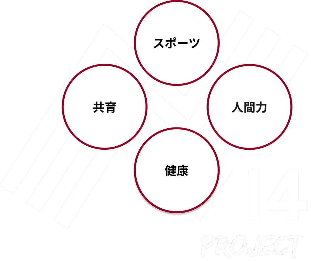 N14プロジェクトの概要図
